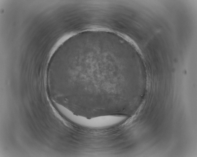 X0000081451231200701261904