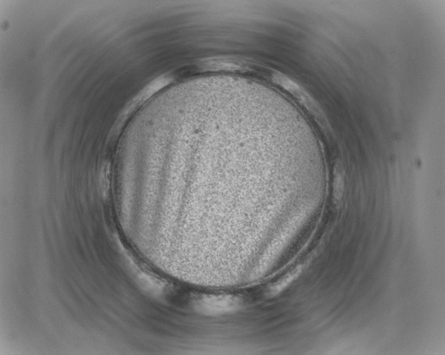 X0000081451233200701261904