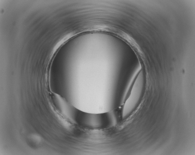 X0000081451234200701261904