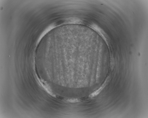 X0000081451235200701261904