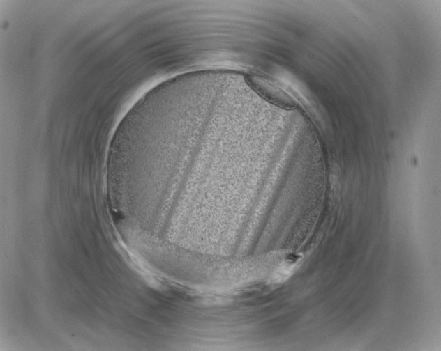 X0000081451236200701261904