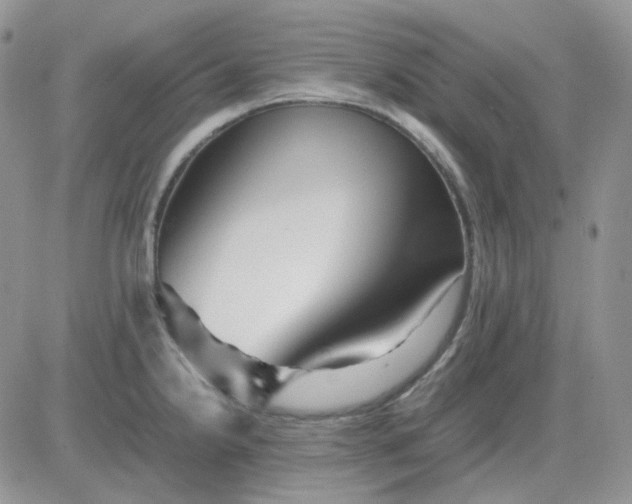 X0000081451238200701261905