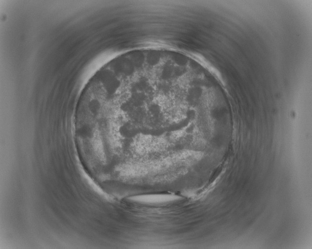 X0000081451239200701261905