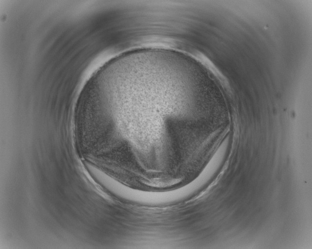 X0000081451240200701261905