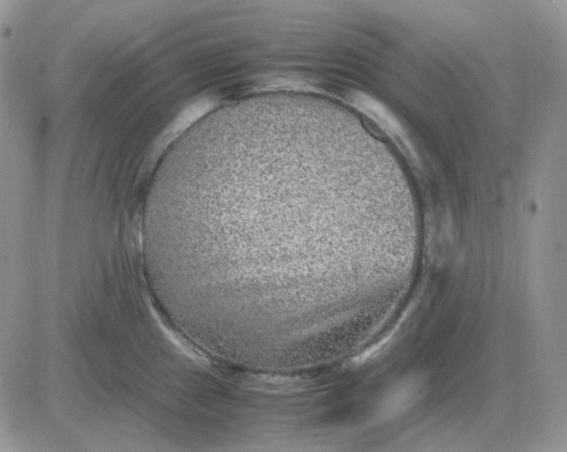 X0000081451241200701261905