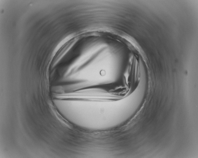 X0000081451242200701261905