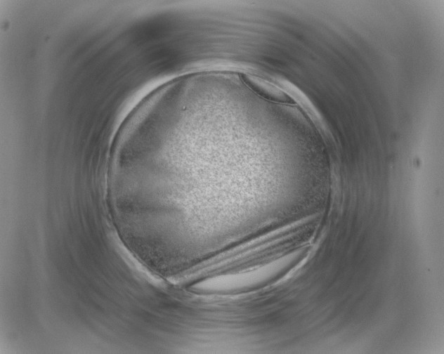 X0000081451244200701261905