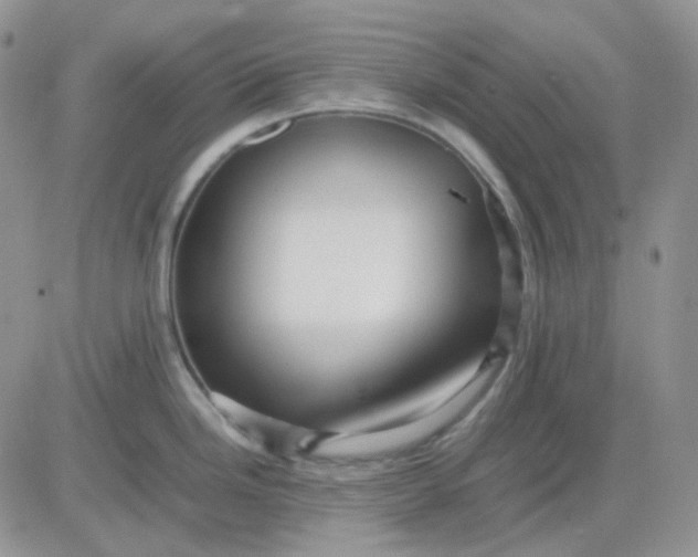 X0000081451246200701261905