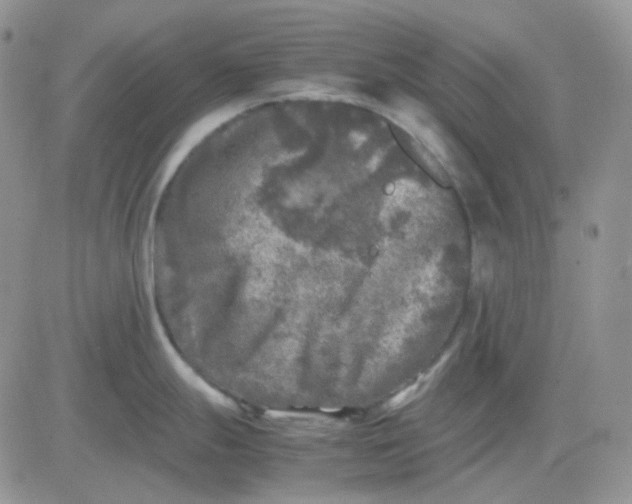 X0000081451247200701261905