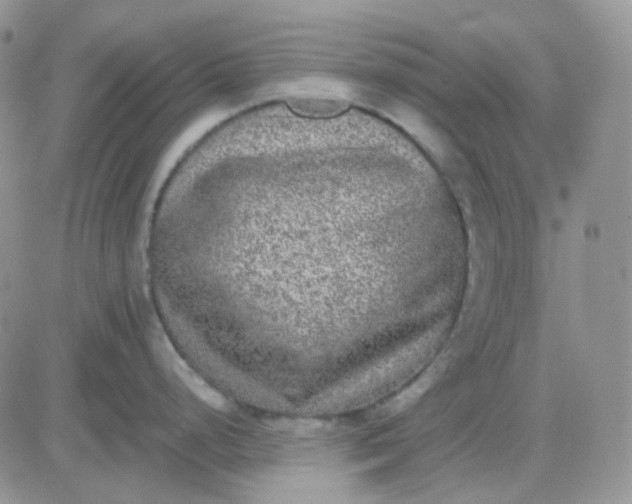 X0000081451248200701261905