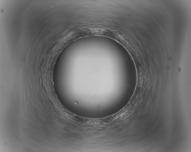 X0000081451249200701261904