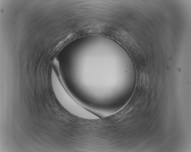 X0000081451250200701261904