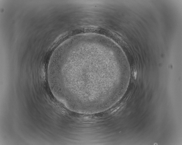 X0000081451252200701261904