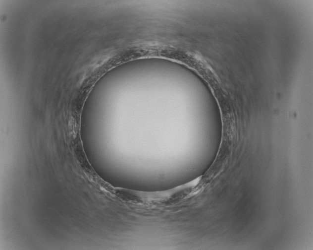 X0000081451253200701261904