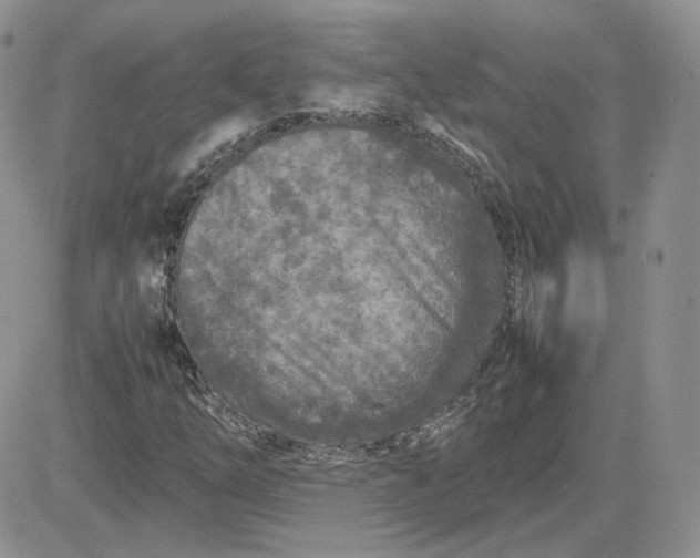 X0000081451254200701261904