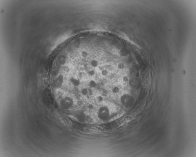 X0000081451255200701261904