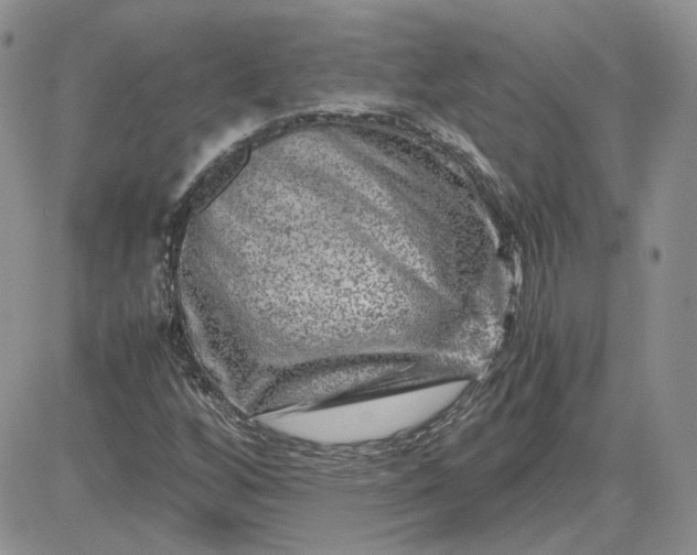 X0000081451256200701261904