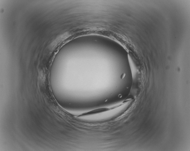 X0000081451257200701261904