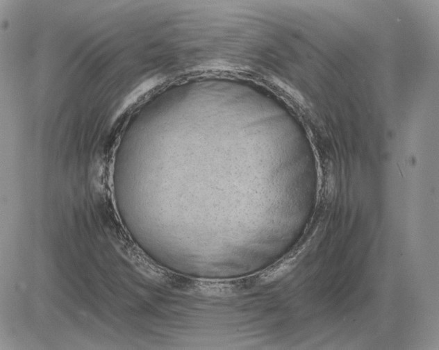 X0000081451258200701261904