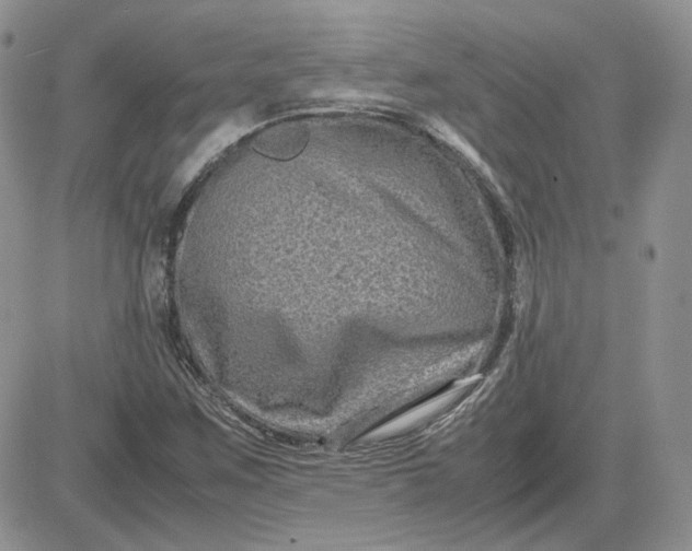 X0000081451259200701261904