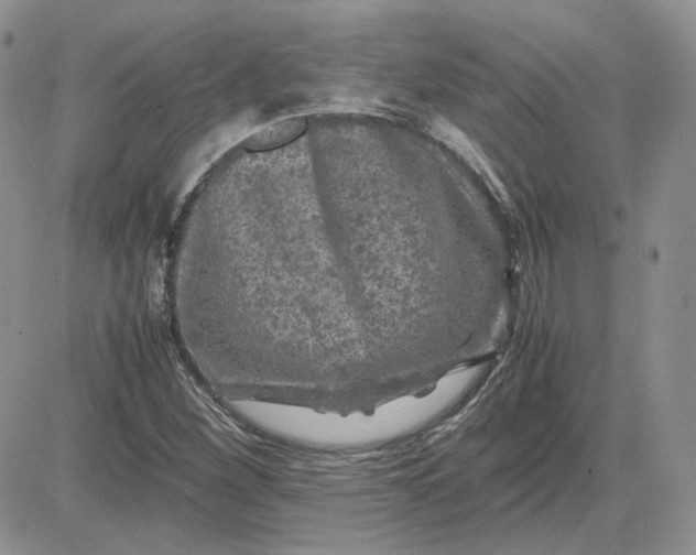 X0000081451260200701261904