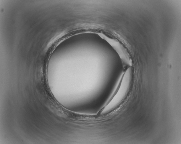 X0000081451261200701261904