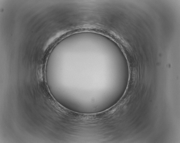 X0000081451262200701261904