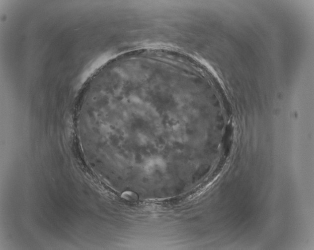 X0000081451263200701261904