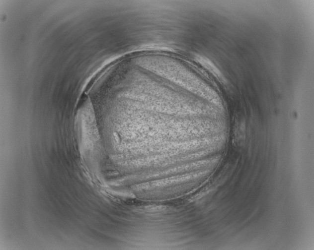 X0000081451268200701261904