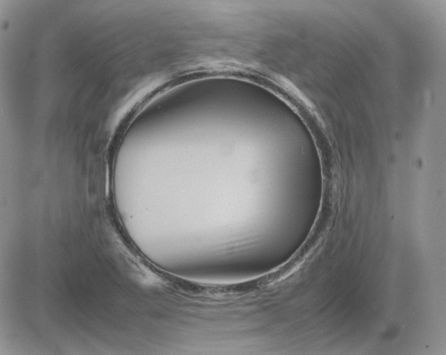 X0000081451269200701261904