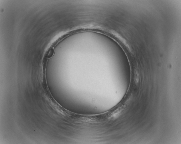 X0000081451270200701261904