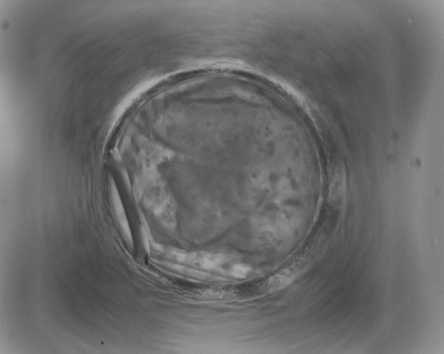 X0000081451271200701261904