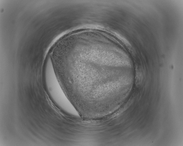 X0000081451272200701261904