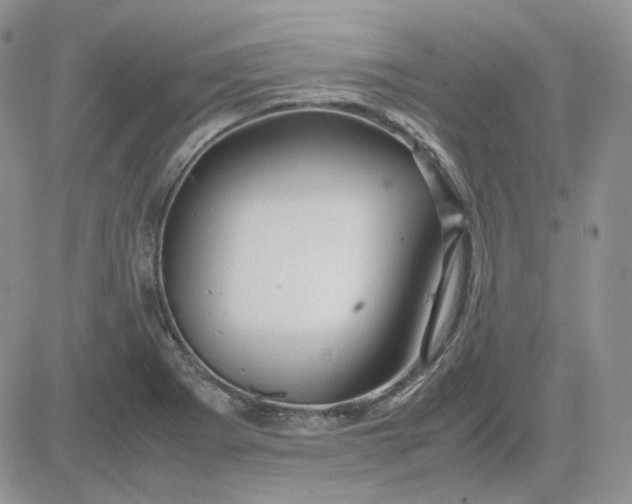 X0000081451273200701261903