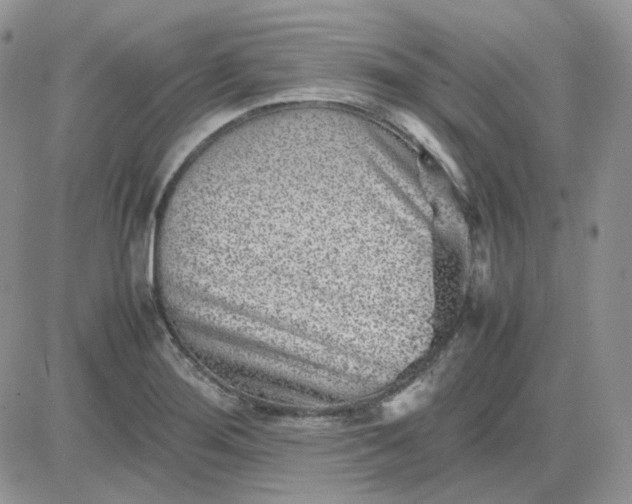 X0000081451276200701261903