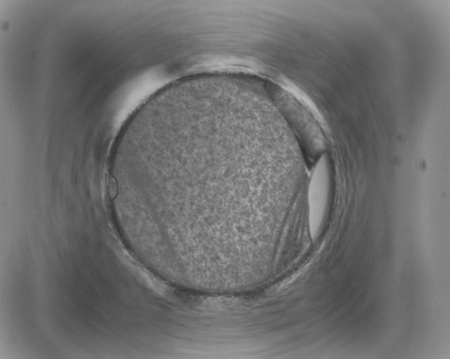 X0000081451277200701261903