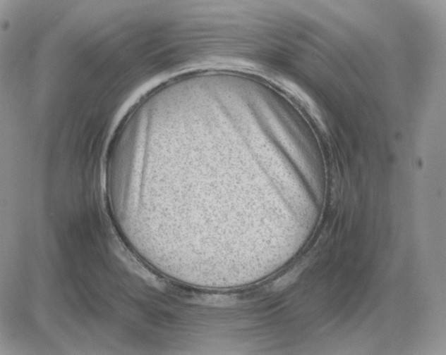 X0000081451280200701261903