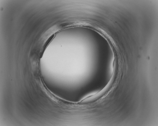 X0000081451281200701261903