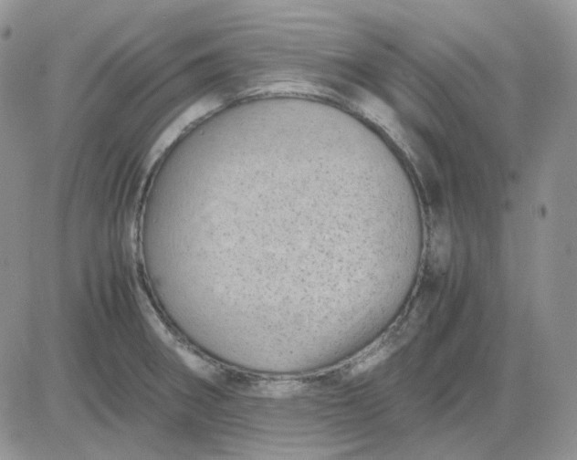 X0000081451282200701261903