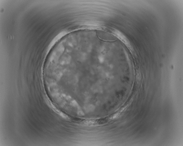 X0000081451283200701261903