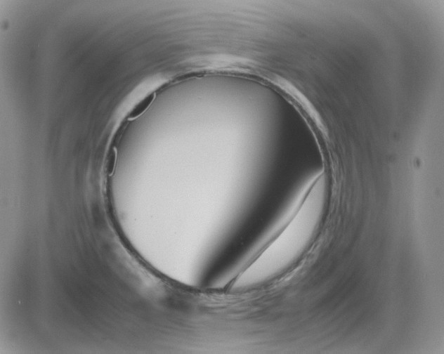 X0000081451285200701261903