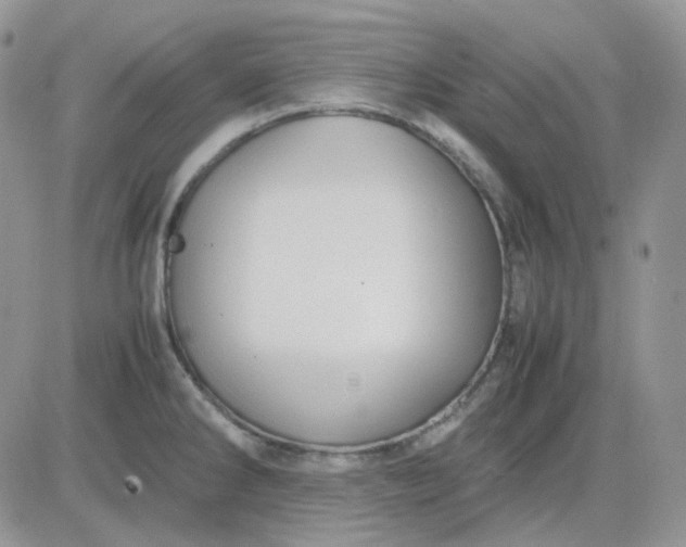 X0000081451286200701261903