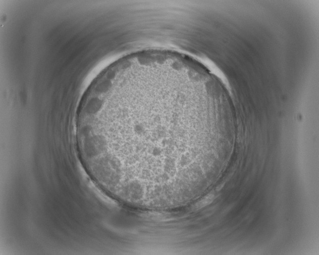 X0000081451287200701261903