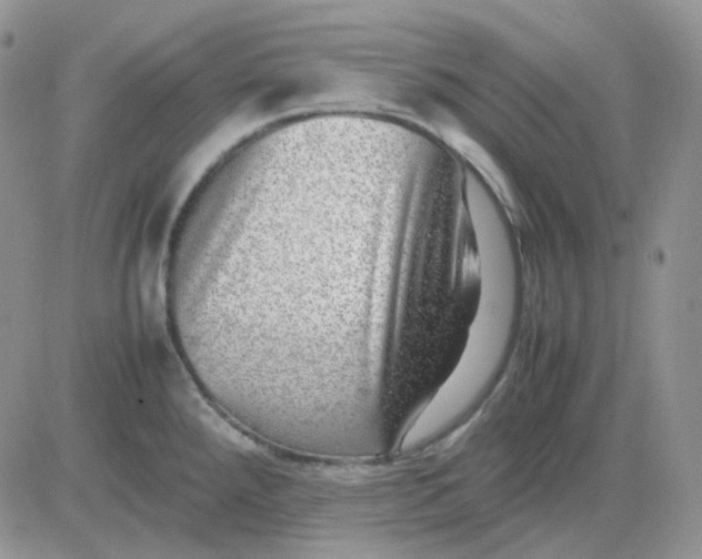 X0000081451288200701261903