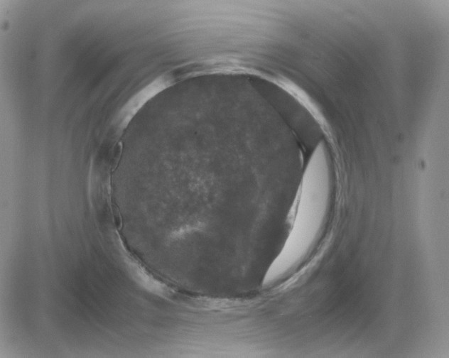 X0000081451289200701261903