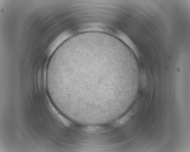 X0000081451290200701261903