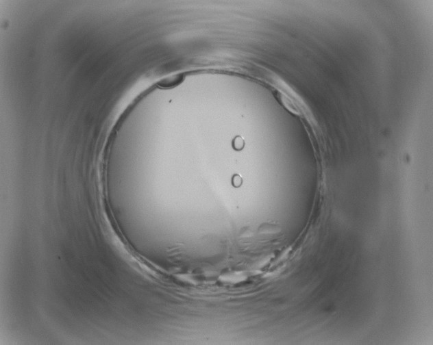 X0000081451291200701261903