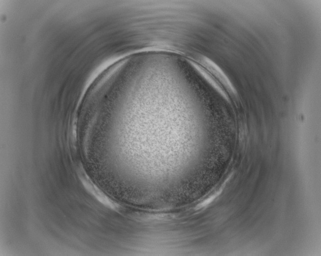 X0000081451292200701261903