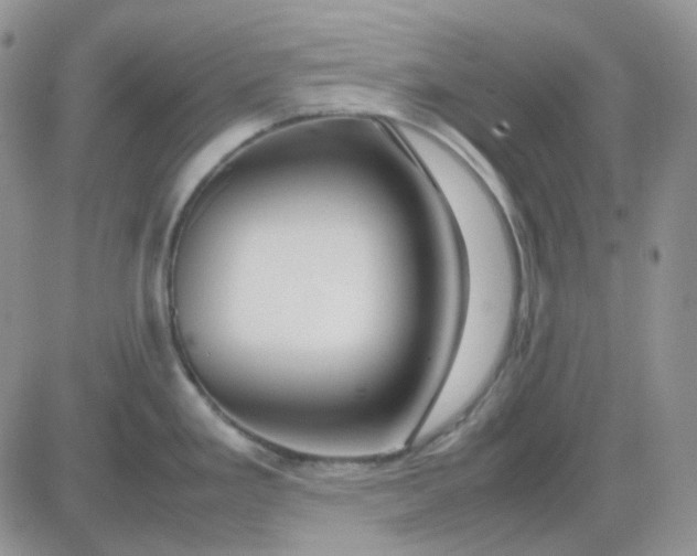 X0000081451293200701261903