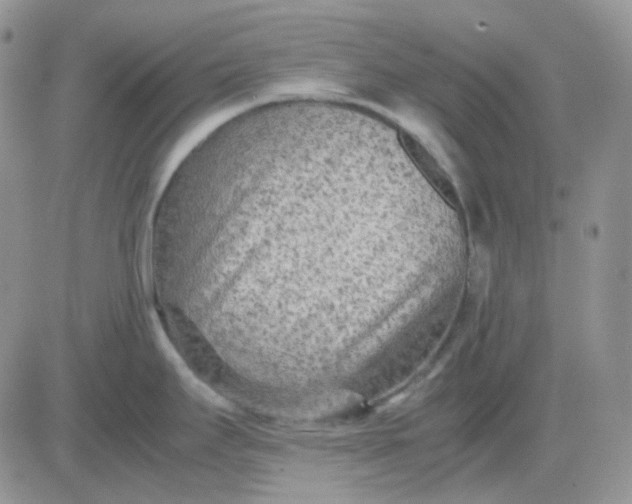 X0000081451295200701261903